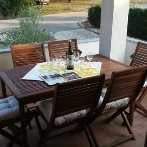 Delfin , Novigrad Istria Chorvatsko